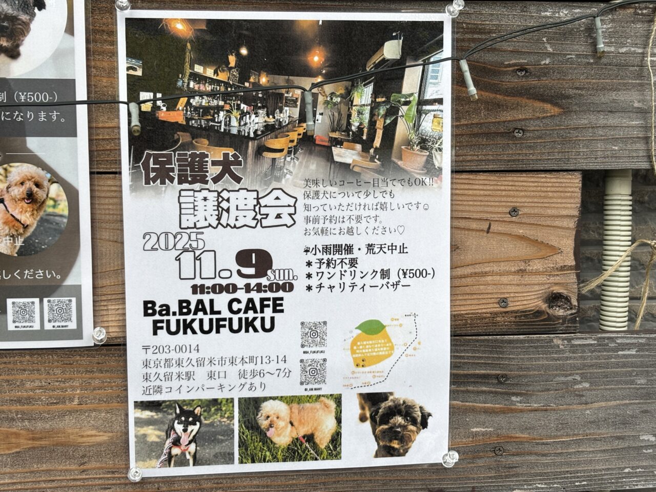 202511保護犬譲渡会