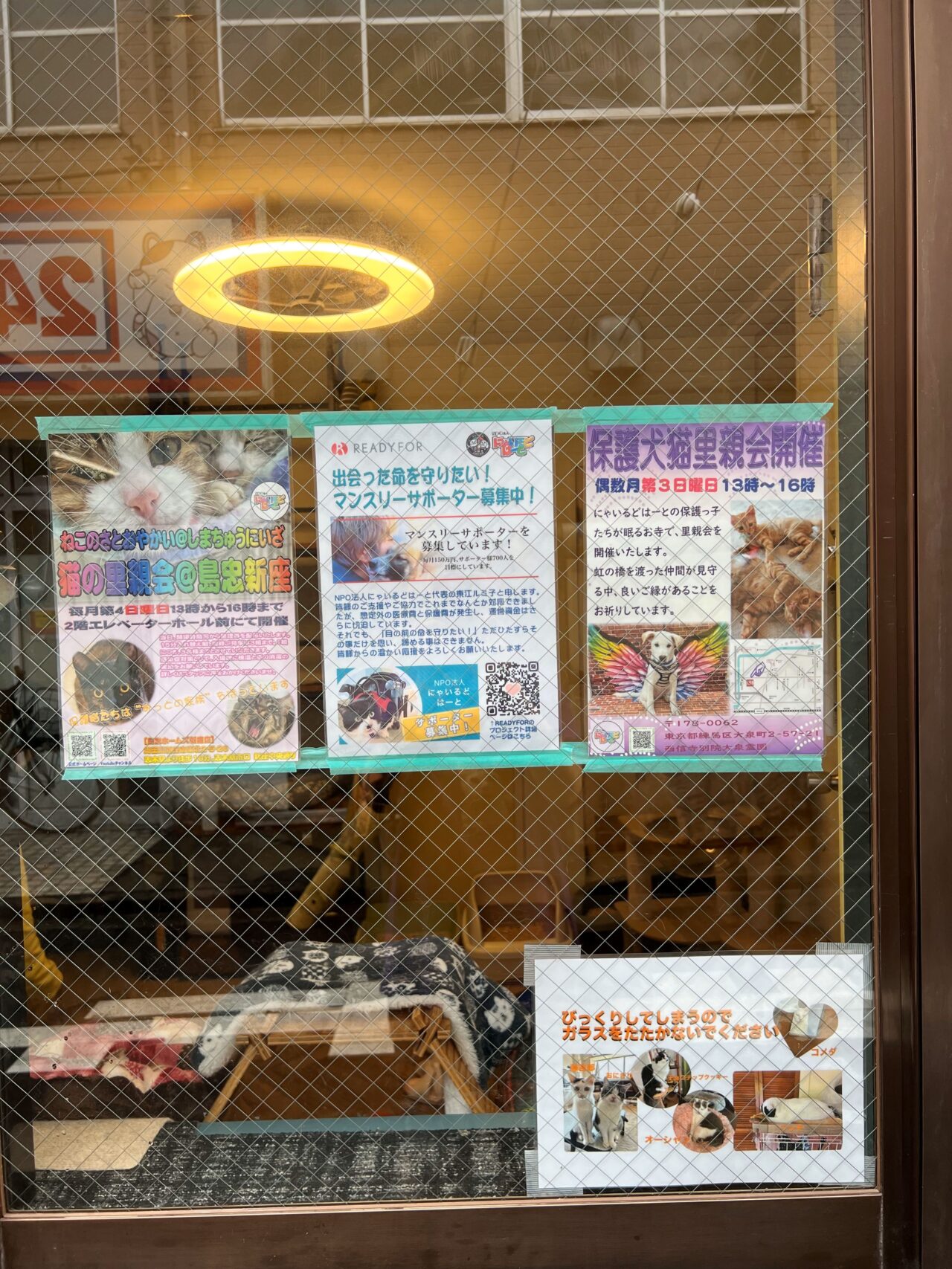 202512ふれあい譲渡会