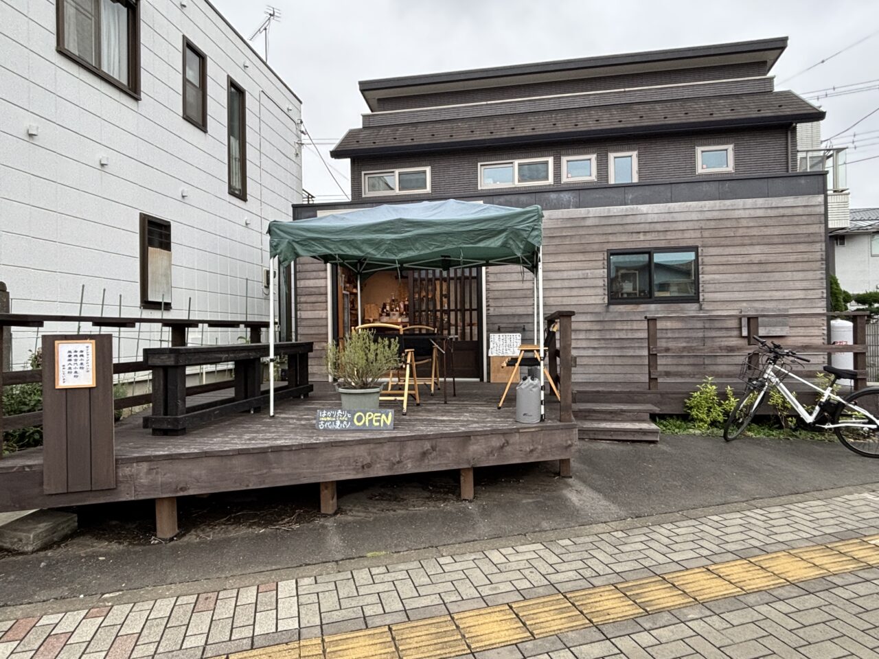 202512野草さんぽ