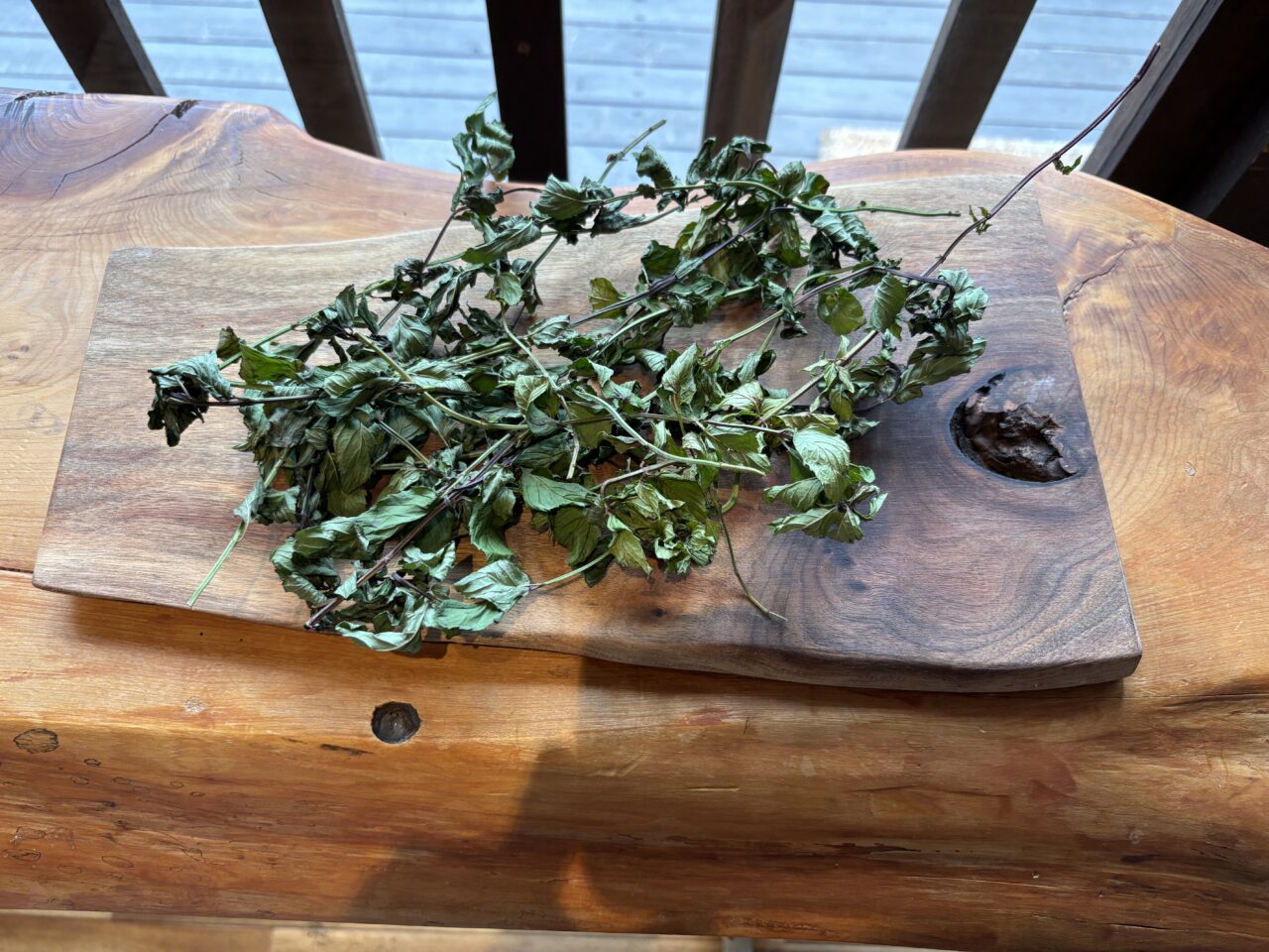 202512野草さんぽ