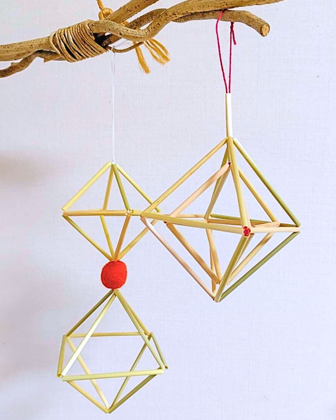 202601まつぼっくる　オープン