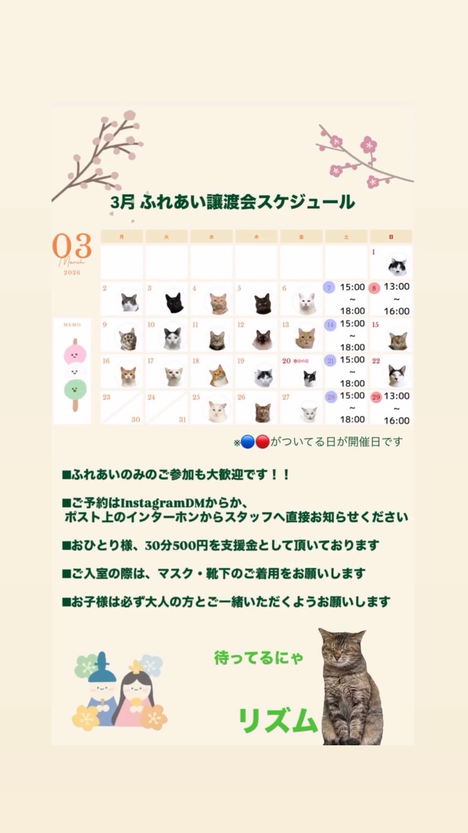 202603ふれあい譲渡会