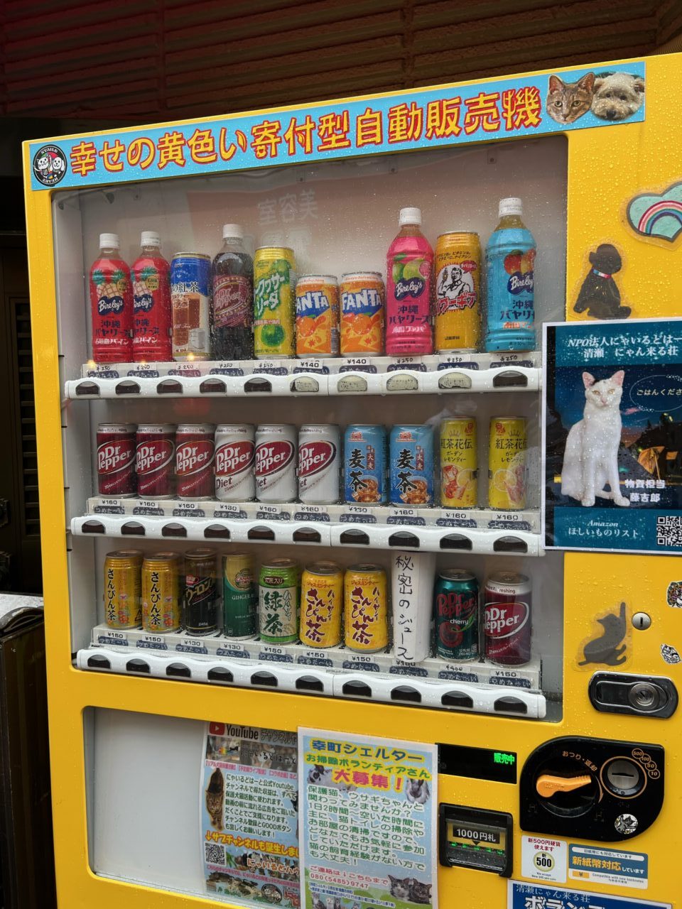 202604ふれあい譲渡会