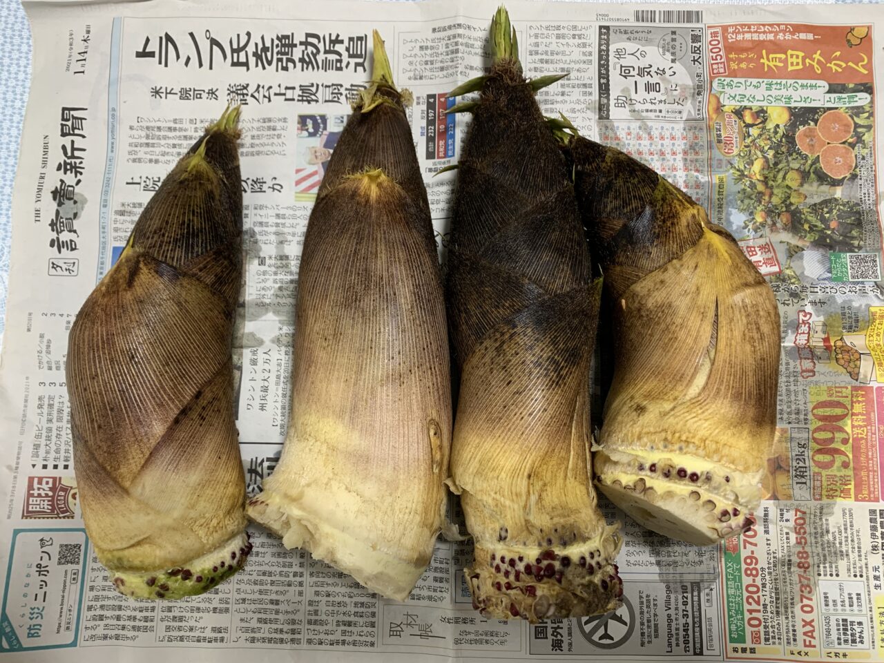 202603竹林公園たけのこ掘り