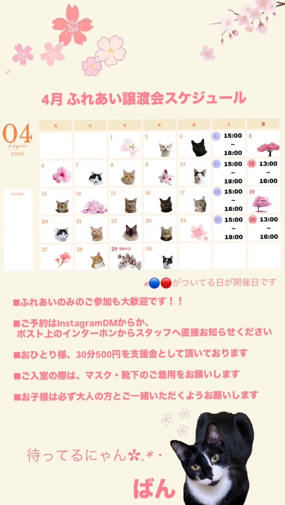 202604ふれあい譲渡会