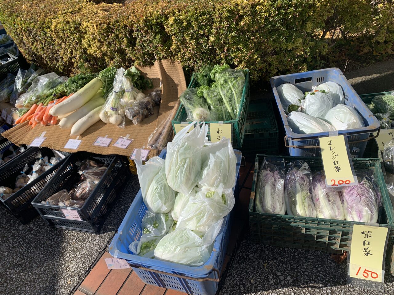 202603ハンドメイドマーケット奏