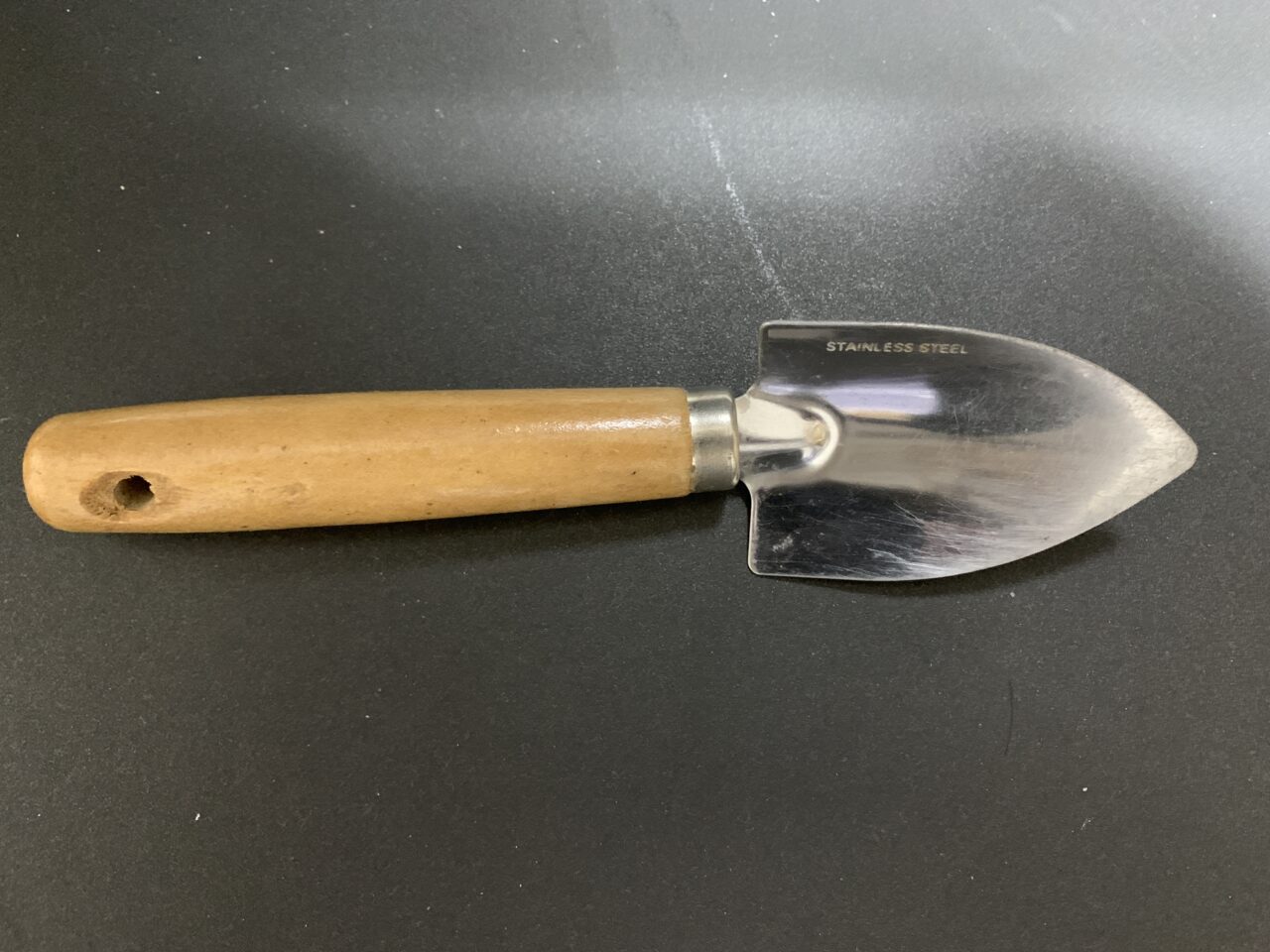 202603竹林公園たけのこ掘り