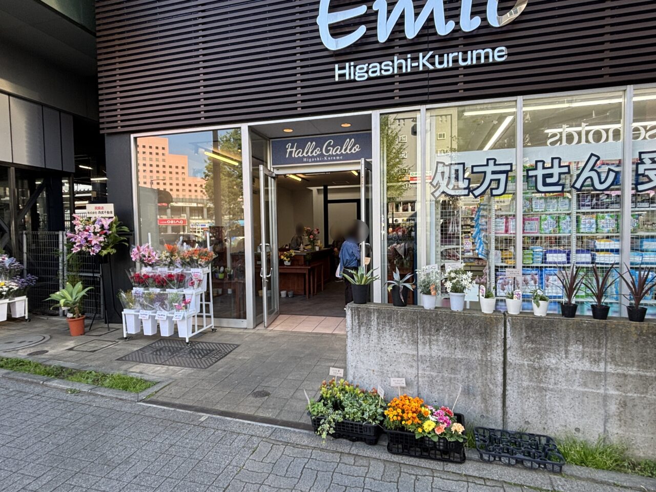 HalloGallo東久留米店オープン