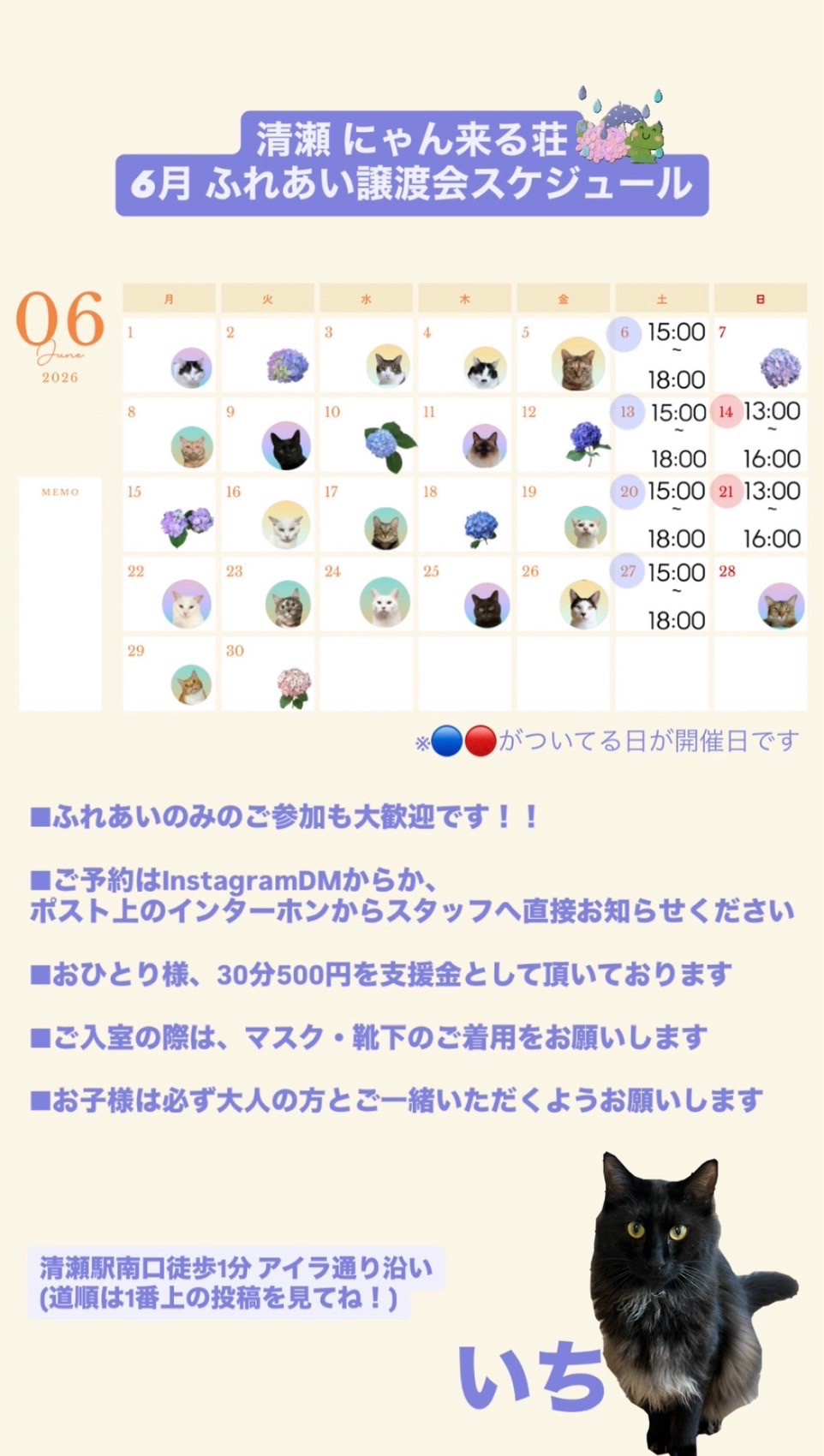 202606ふれあい譲渡会