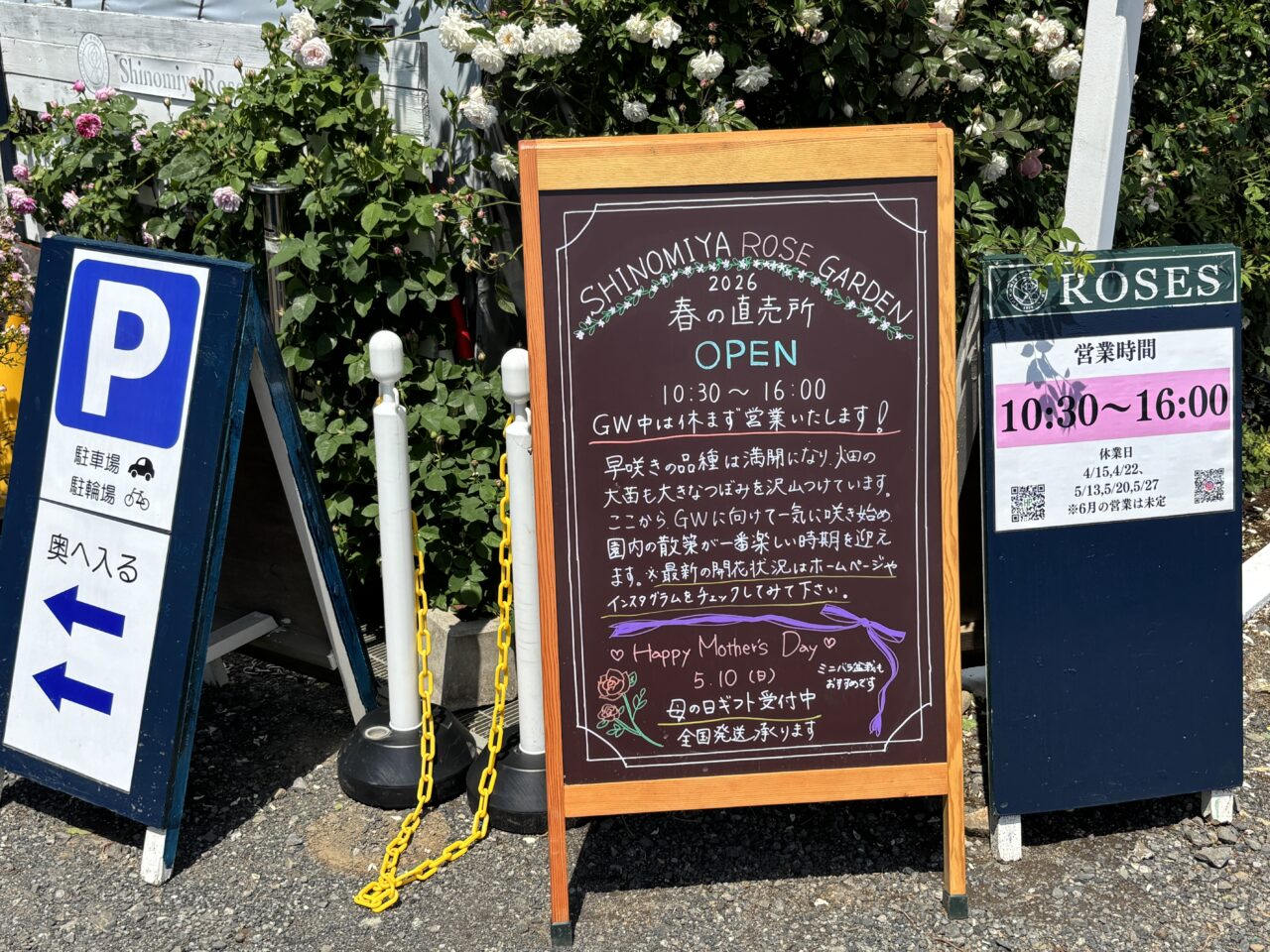 202605篠宮バラ園