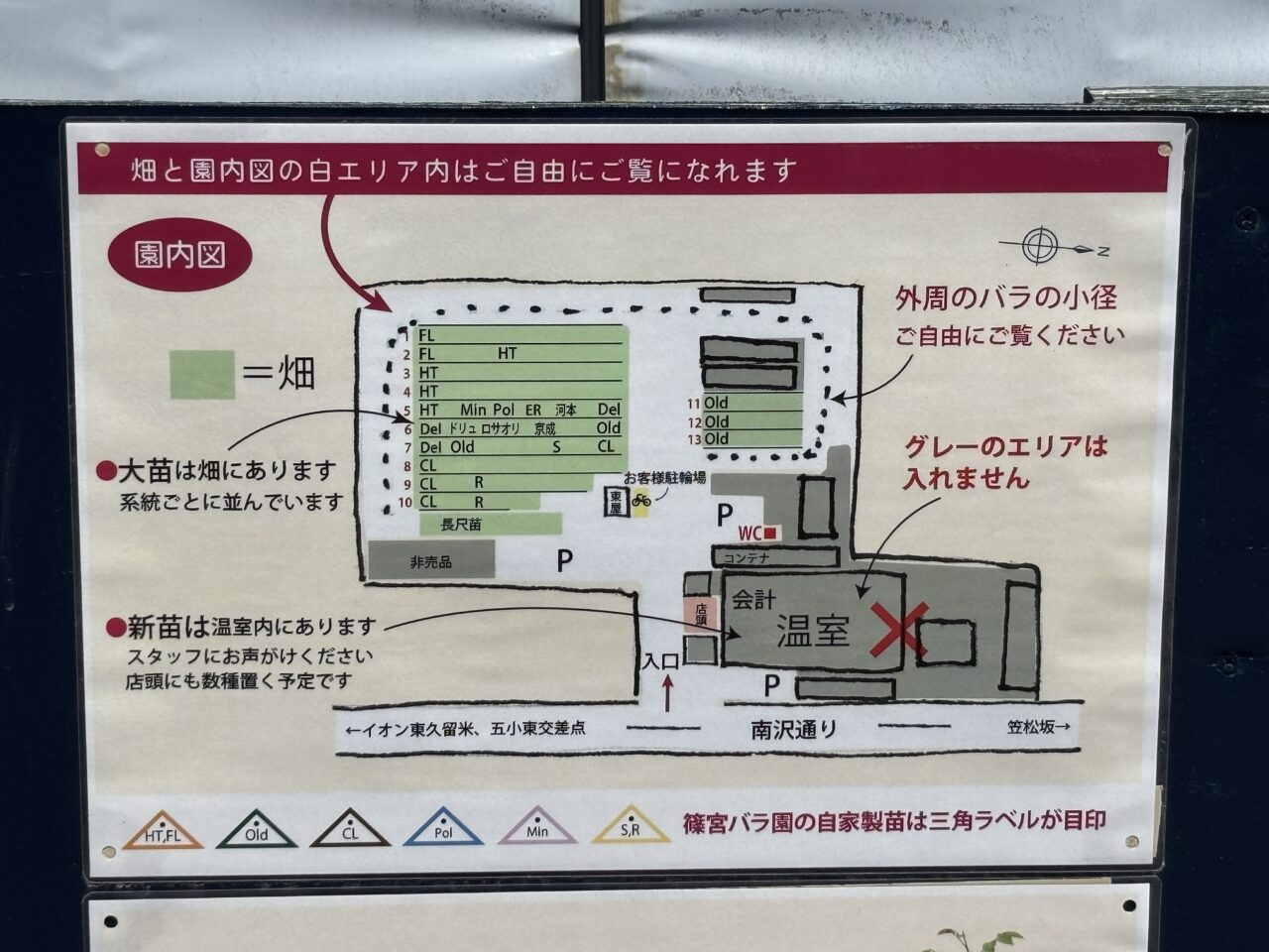 202605篠宮バラ園