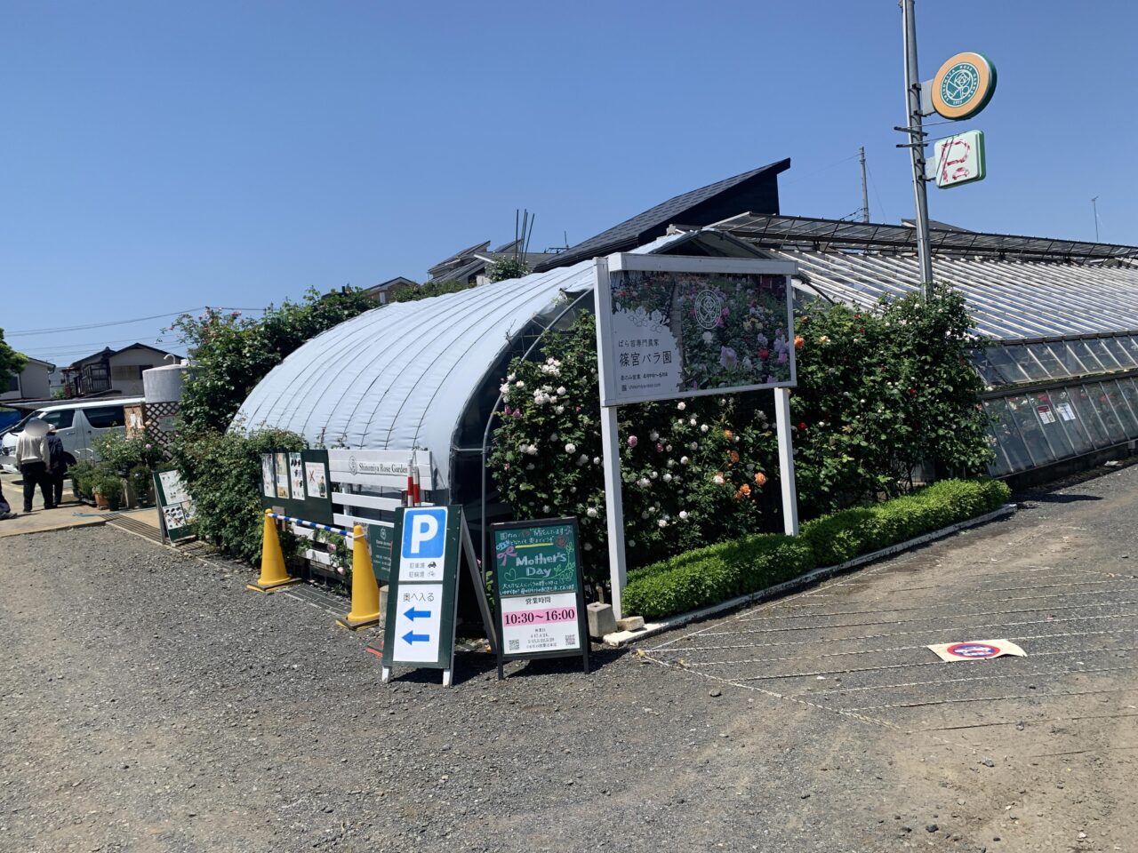 202605篠宮バラ園