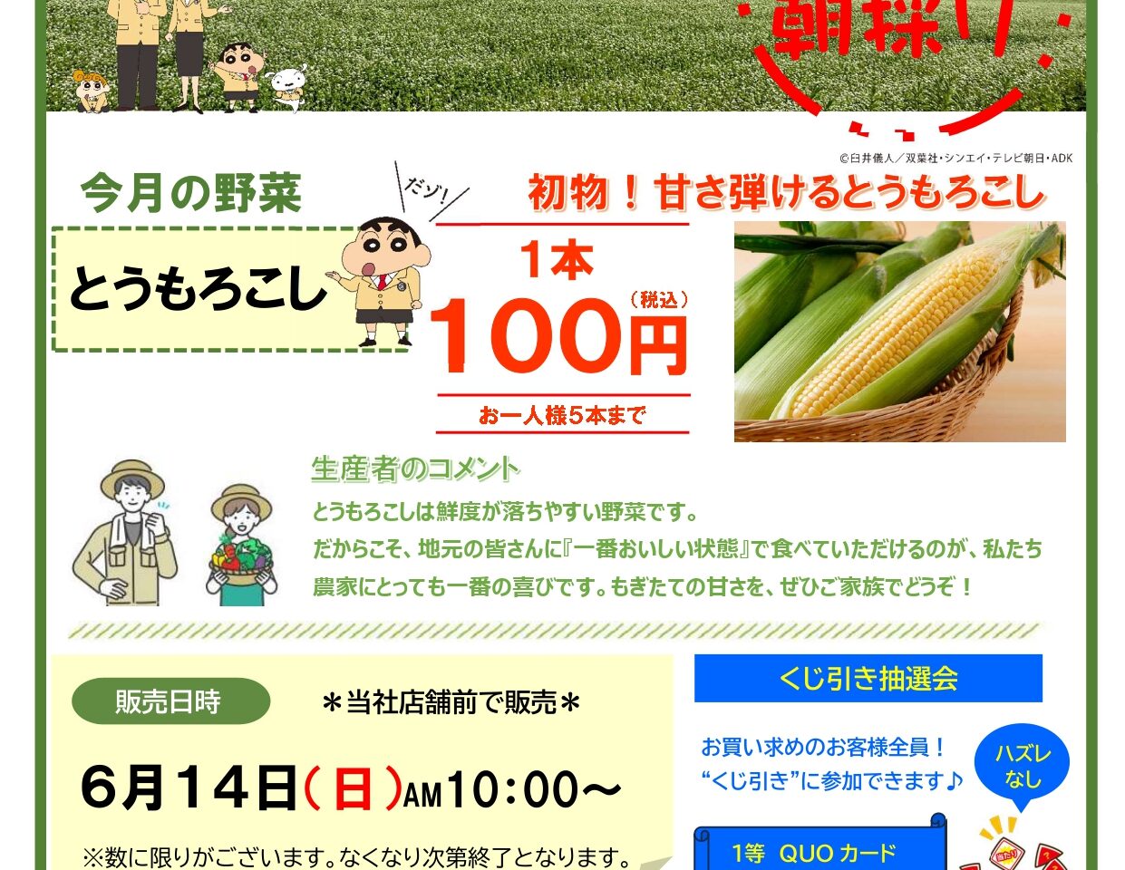 センチュリー21　野菜直売