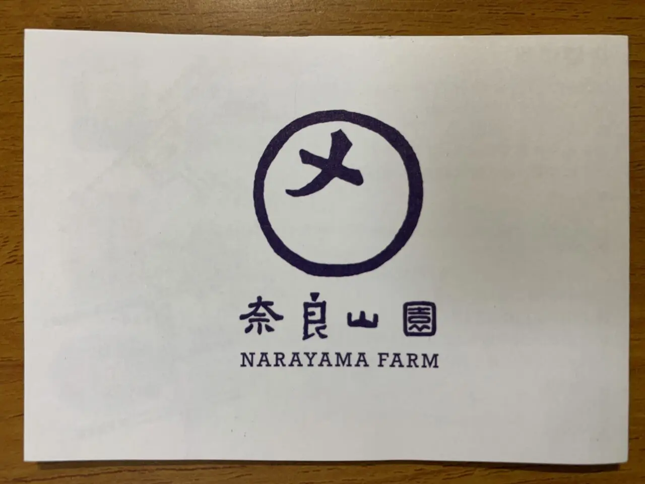 202607ブルーベリー摘み取り