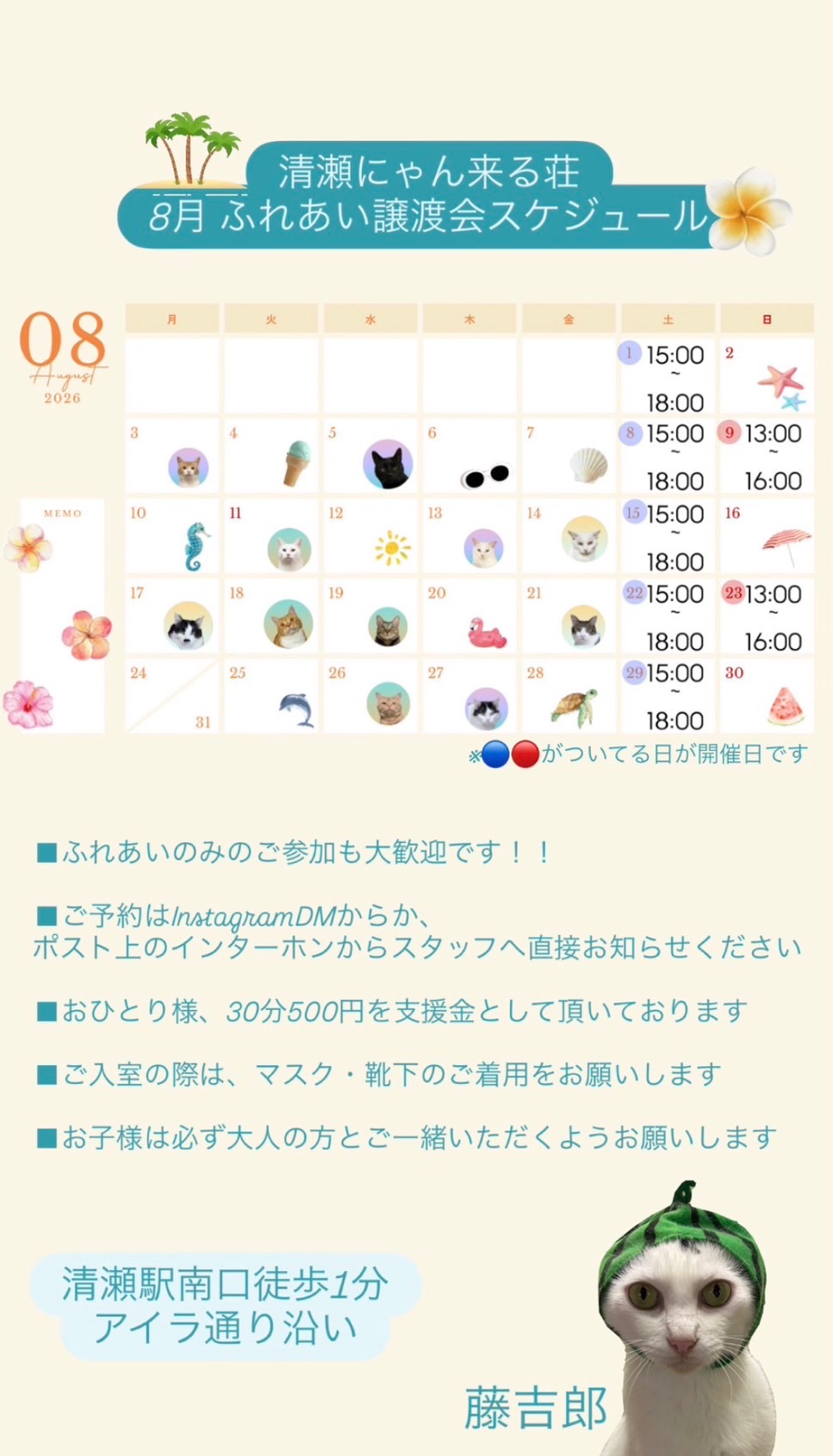 202608ふれあい譲渡会