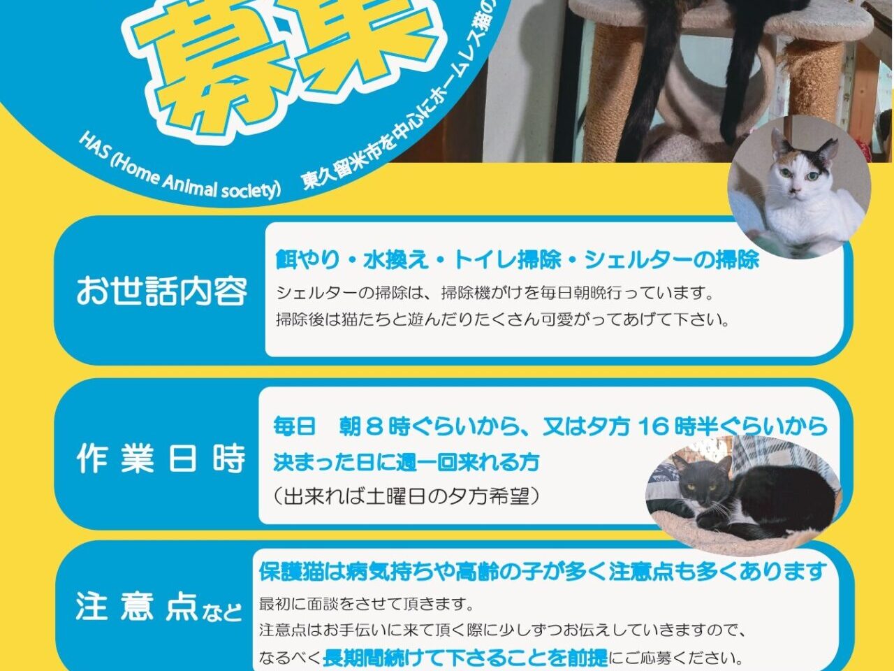 HASボランティア募集