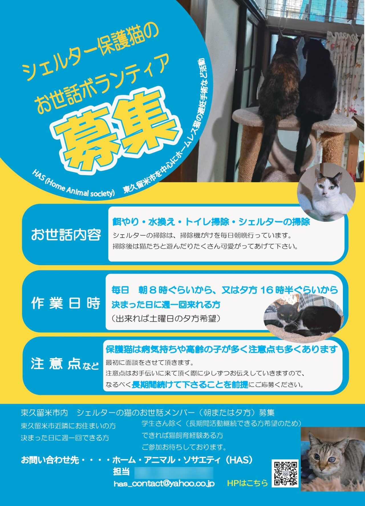 HASボランティア募集