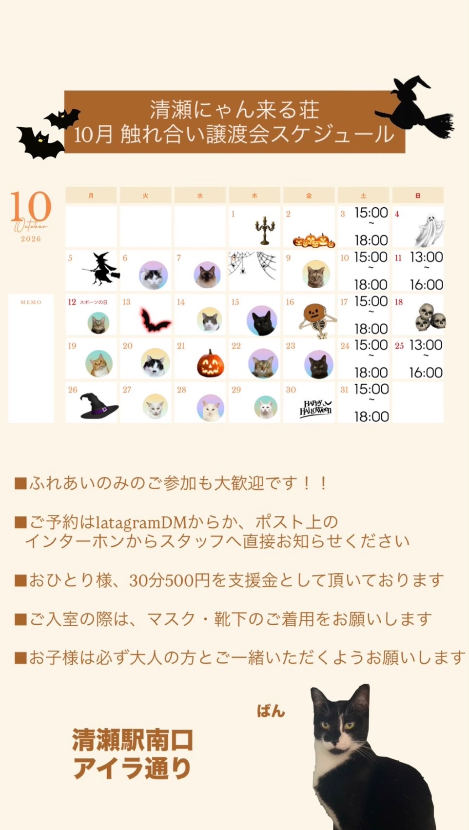 202610ふれあい譲渡会