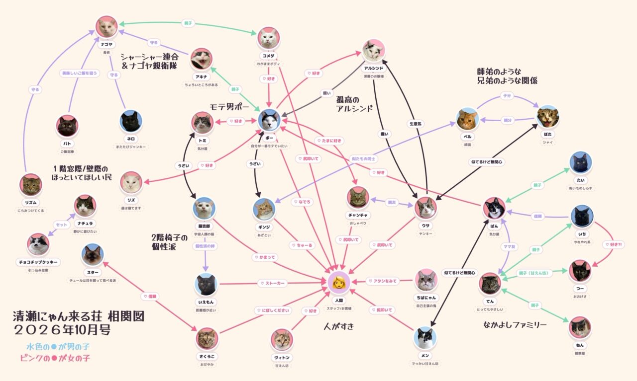 202610ふれあい譲渡会