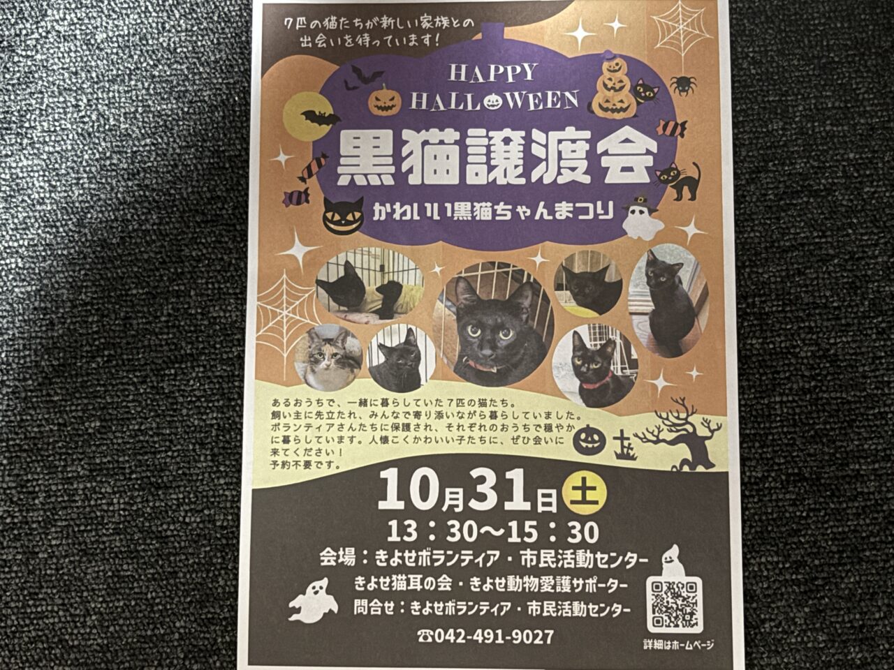 202610黒猫譲渡会